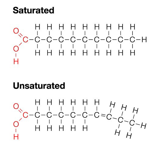 Saturated Fat And Unsaturated Fat 65